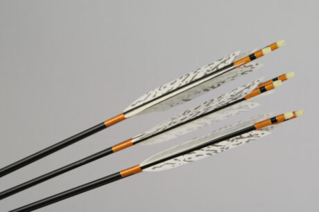 6er Satz (jp): 1913 #3; 209.-€