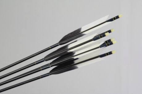 6er Satz (jp): 2014 #5; 199.-€