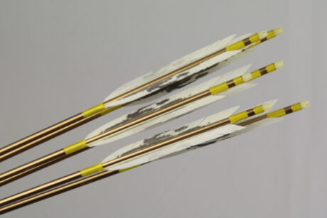 6er Satz (jp): 2014 #6; 209.-€