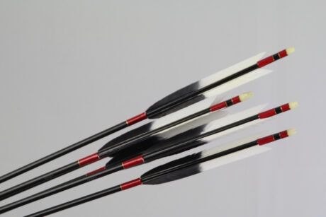 6er Satz (jp): 2015 #3; 199.-€