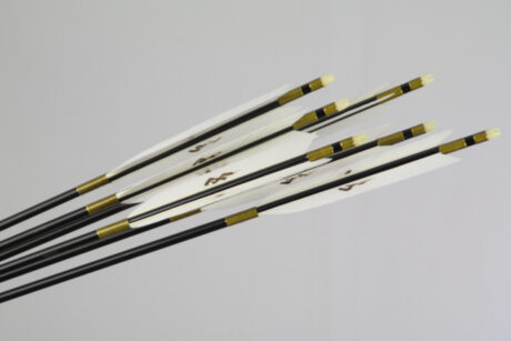 6er Satz (jp): 2015 #5; 209.-€